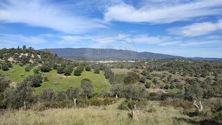 Land for sale in Torres Novas, Portugal — €45,000
