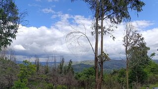 Land for sale in São Pedro do Sul, Portugal — €6,000