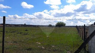 Land for sale in Alpiarça, Portugal — €59,000