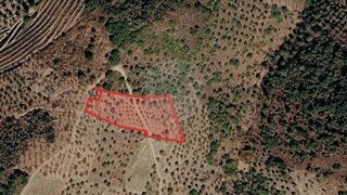 Land for sale in São João da Pesqueira, Portugal — €65,000