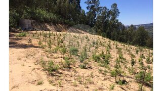 Land for sale in Cinfães, Portugal — €16,500