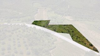 Terreno em Penela · 6838 m² · 11 000 €