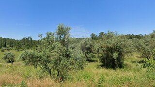 Land for sale in Pombal, Portugal — €15,000