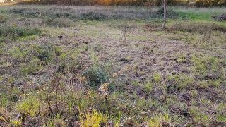 Land for sale in Estarreja, Portugal — €14,900