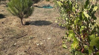 Land for sale in Gouveia, Portugal — €90,000