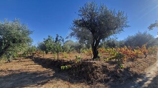 Terreno · 8220 m² · 35 000 €