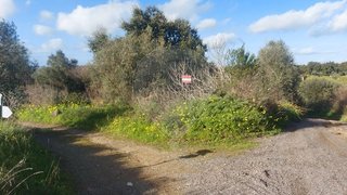 Land for sale in Abrantes, Portugal — €5,500