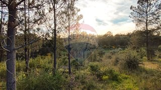 Land for sale in Castelo Branco, Portugal — €15,500