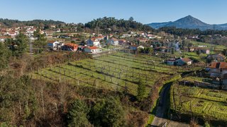 Land for sale in Celorico de Basto, Portugal — €135,000