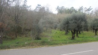 Land for sale in Ansião, Portugal — €106,500