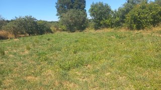 Land for sale in Mangualde, Portugal — €30,000