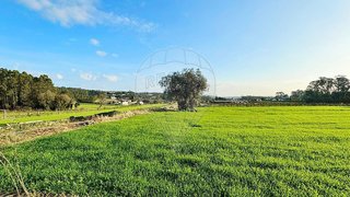 Land for sale in Barcelos, Portugal — €125,100