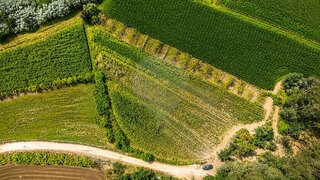 Land for sale in Barcelos, Portugal — €14,000