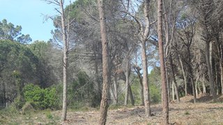 Terreno para venda em Sintra, Portugal — 45 000 €