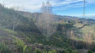 Land for sale in Amarante, Portugal — €15,000