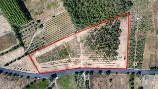 Land for sale in Cantanhede, Portugal — €40,000