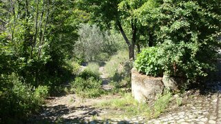 Terreno em Lamego · 14 625 m² · 99 000 €