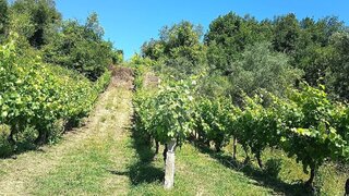Land for sale in Coimbra, Portugal — €25,000