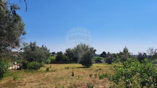 Land for sale in Tondela, Portugal — €40,000
