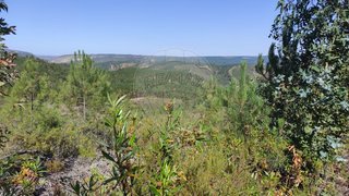 Land for sale in Vila Velha de Ródão, Portugal — €9,900