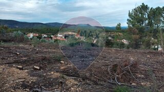 Terreno em Proença-a-Nova