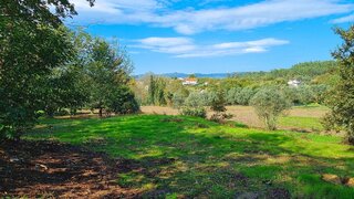 Terreno para venda em Tondela, Portugal — 25 000 €