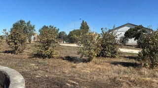 Land for sale in Coruche, Portugal — €35,000