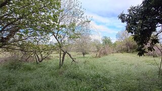 Land for sale in Penamacor, Portugal — €3,230