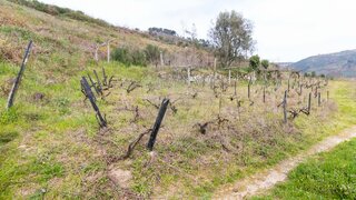 Land for sale in Baião, Portugal — €27,000