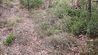Land for sale in Porto de Mós, Portugal — €6,000