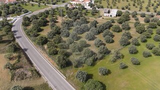 Land for sale in Torres Novas, Portugal — €285,000