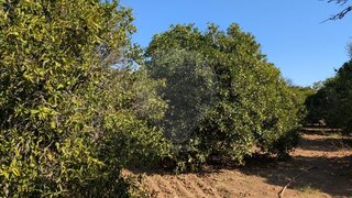 Land for sale in Castro Marim, Portugal — €17,000