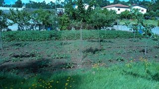 Land for sale in Santo Tirso, Portugal — €49,900