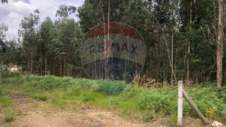 Land for sale in Amarante, Portugal — €36,000
