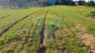 Land for sale in Cantanhede, Portugal — €30,000