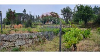 Land for sale in Tondela, Portugal — €35,000