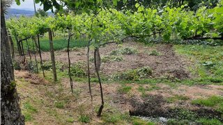 Land for sale in Penafiel, Portugal — €25,000