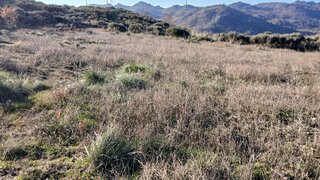 Land for sale in Sabugal, Portugal — €29,500