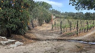 Land for sale in Tondela, Portugal — €197,000