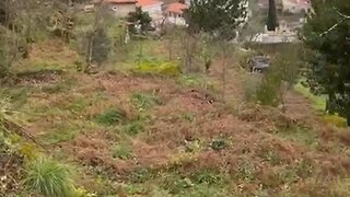Terreno em Mondim de Basto