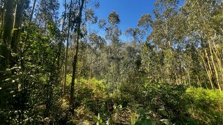 Land for sale in Valença, Portugal — €4,900