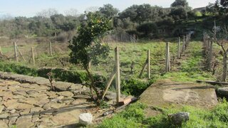 Land for sale in Penamacor, Portugal — €25,000