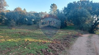 Land for sale in Abrantes, Portugal — €37,500