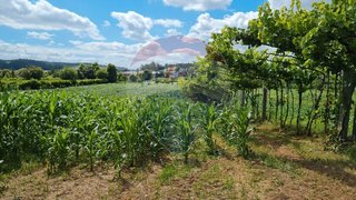 Terreno em Trofa