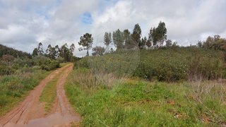 Land for sale in Mação, Portugal — €4,500