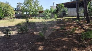 Land for sale in Seia, Portugal — €10,000