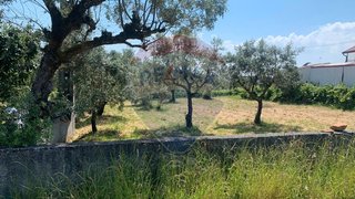 Land for sale in Mortágua, Portugal — €26,000