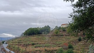 Terreno para venda em Castro Daire, Portugal — 30 000 €