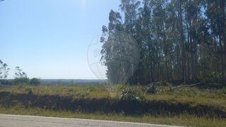 Terreno para venda em Pombal, Portugal — 125 000 €
