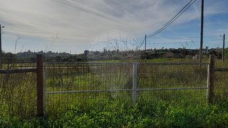 Land for sale in Torres Novas, Portugal — €28,000